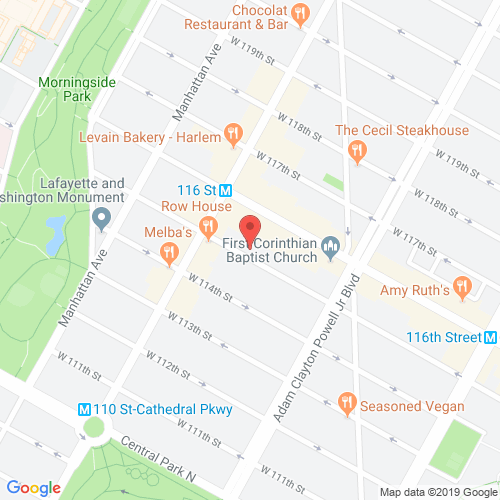 Delany Lofts, 247 West 115th Street, New York, NY, 10026, Central Harlem NYC Condominiums